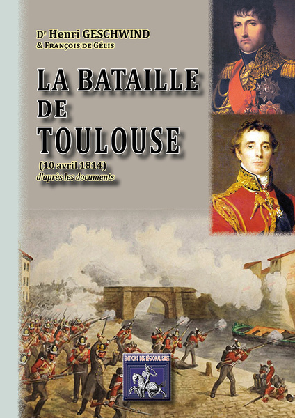 bataille_toulouse.jpg