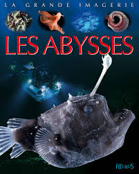 les_abysses.jpg