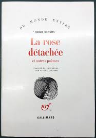 rose_detachee.jpg