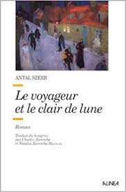 voyageur_et_le_clair_de_lune.jpg