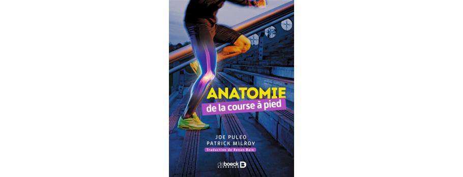 Anatomie course à pied QT 260 PUL