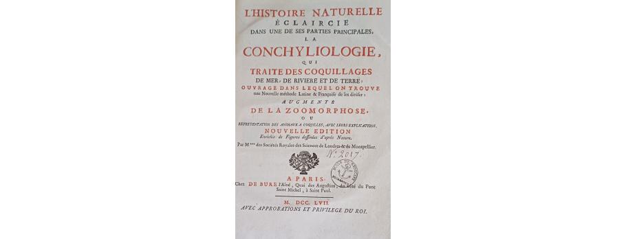 Page de titre
