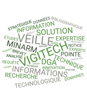 VIGITECH DGA Information Stratégique